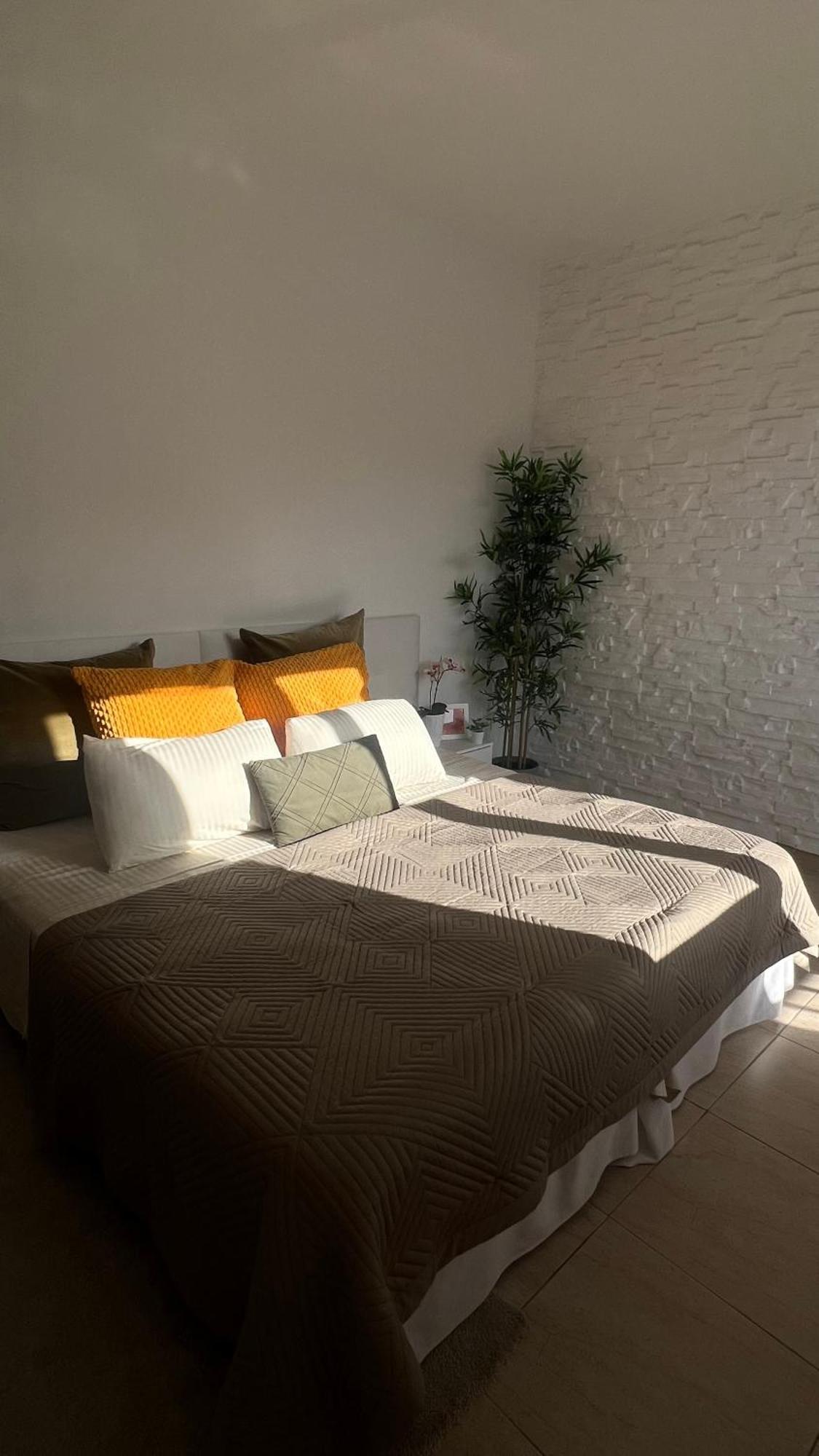 Tenerife Te Espera! Apartment Icod De Los Vinos Luaran gambar
